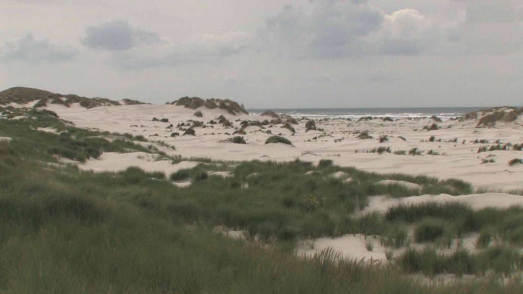 Promotievideo van excursie over de Boschplaat met Natuurgidsen Terschelling